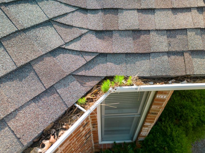 Gutter Clearing