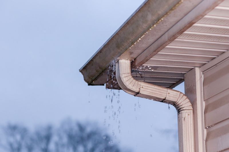 Gutter Water Flow Assessment