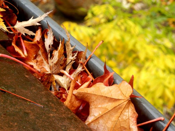 Roof Gutter Debris Removal - Roof Gutter Debris Removal Savannah, Georgia