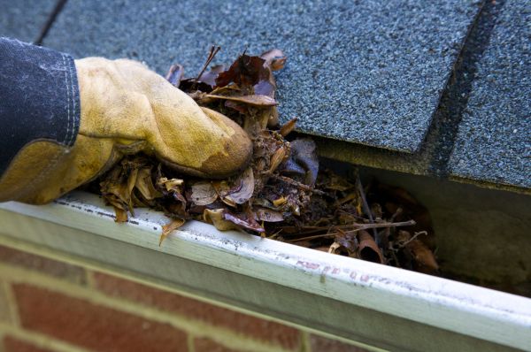 Clogged Gutters Cleaning