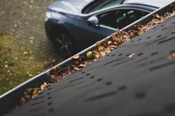 Local Gutter Cleaning
