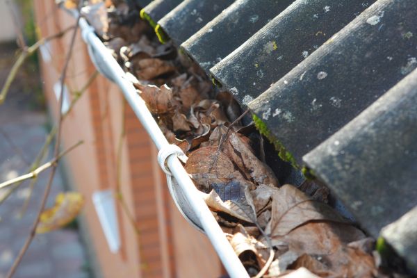 Home Gutter Cleaning - Home Gutter Cleaning Sonoma County, California