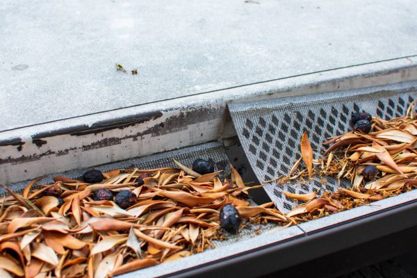 Gutter Rain Guard Installation - Gutter Rain Guard Installation Omaha, Nebraska